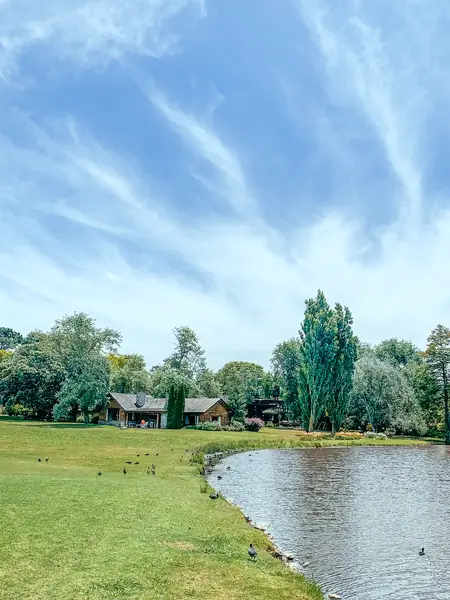 Laguna del club rodeada de parque y arboleda