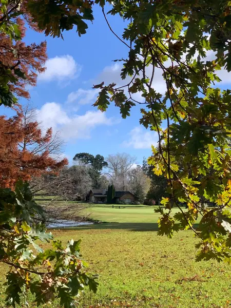 El parque visto entre ramas de otoño