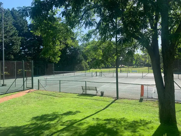Canchas de tenis entre los árboles