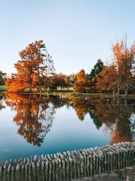 Árboles de otoño reflejados en la laguna