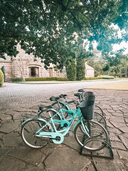 Bicicletas frente al Club House